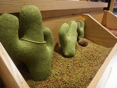 -炖物24章·顺时轻养茶(杭州保利时光里店)