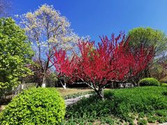 -春晖园度假酒店温泉