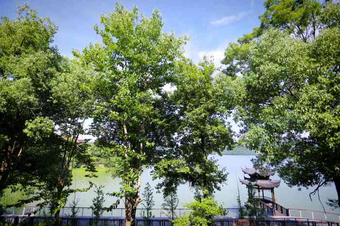 浙地山庄-"山庄在临安青山湖景区内,每天10点在杭州."-大众点评移动版