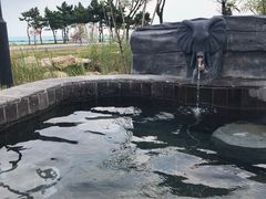 -青岛海泉湾度假区温泉