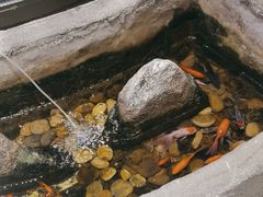 -湘芙蓉·湖南菜(椒江店)