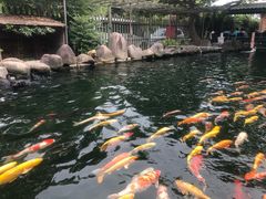 -湖鲜楼