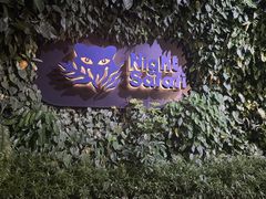 -夜间野生动物园