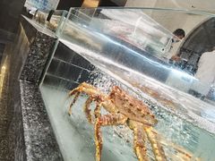 -宴周康·精致江浙菜(周浦店)