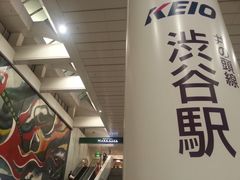 -涩谷全向十字路口