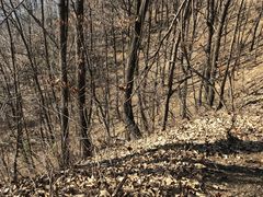 -终南山南五台景区