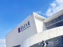 -岭南美术馆