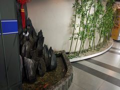 -樱花国际日语(徐家汇中心)