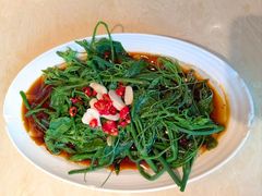 -杨氏青龙虾·羊蝎子(珠江路店)