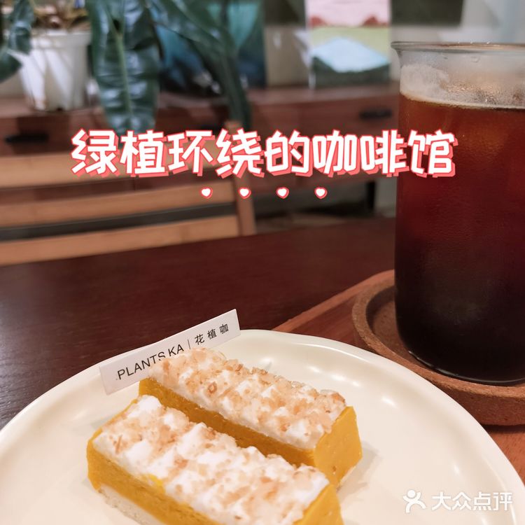 绿植环绕的咖啡馆