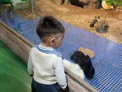 -苏州海洋馆