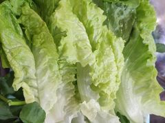 青菜-章记正宗南岗鱼蛋火锅