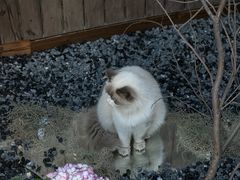 -小魚花店