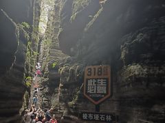 -梭布垭石林景区