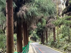 -太阳湾风景区