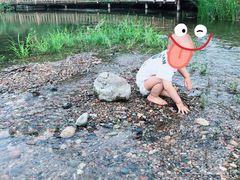 -白河湾生态旅游一条川