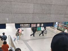 -宋家庄(地铁站)