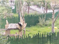 -沈阳森林动物园