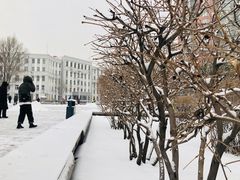 -圣·阿列克谢耶夫教堂