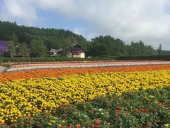 -富田农场