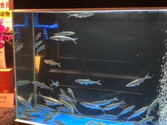 -翠府(翠湖北路店)