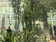 -郑州植物园