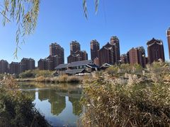 -塘沽森林公园