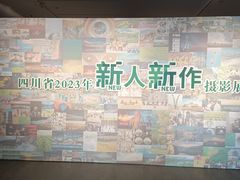 -四川美术馆