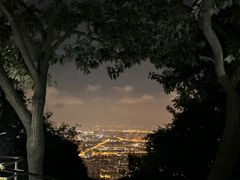 -惠山国家森林公园