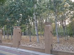 -东升八家郊野公园