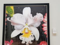 -德基艺术博物馆
