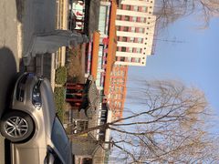 -九花山烤鸭店