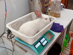 -瓦房兔(璧山店)