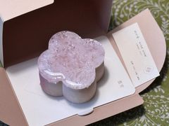 玉兰冰·慕斯蛋糕-瑭所(王府中環店)