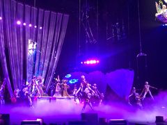 -珠海横琴长隆《卡卡虎奇遇记》