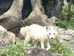 -杭州野生动物世界