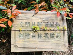 -汇龙潭