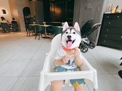 -乔泰勒JOETYLER西餐厅(曲江店)