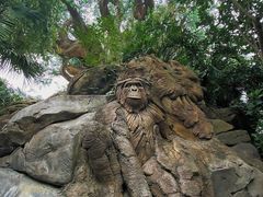 -奥兰多迪士尼动物王国乐园