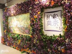 -印象莫奈时光映迹艺术展