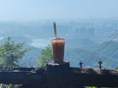 -岳麓山风景名胜区