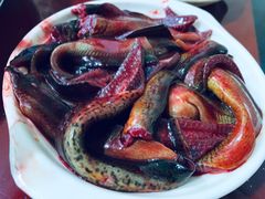 现划鳝鱼-储奇门鳝鱼火锅(总店)