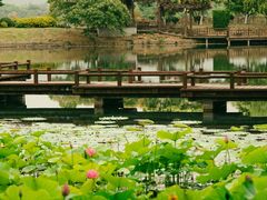 -尚湖风景区