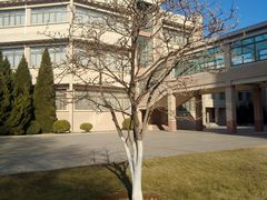 -大连理工大学(凌水校区)