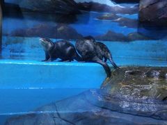 -多彩贵州城极地海洋世界