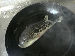 -58度品质川菜馆(经一路店)