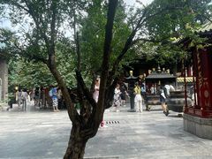 -西安青龙寺遗址景区