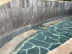 -腾冲洞山温泉村