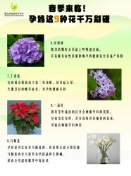 -爱贝乐妈咪月子中心