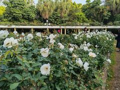 -人民公园(罗湖区)